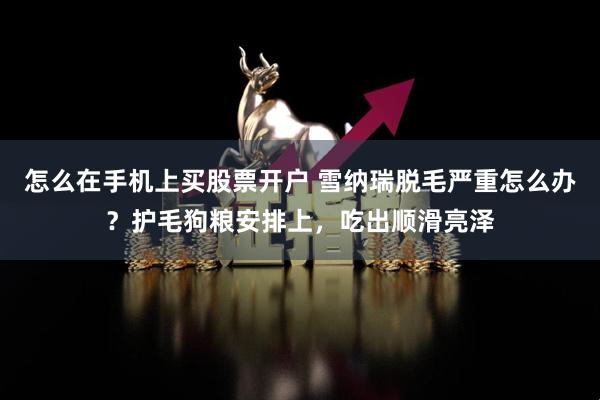 怎么在手机上买股票开户 雪纳瑞脱毛严重怎么办?护毛狗粮安排上,吃出顺滑亮泽