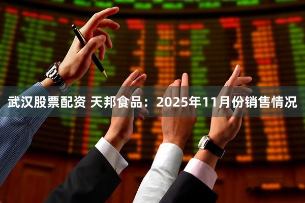 武汉股票配资 天邦食品:2025年11月份销售情况